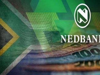 NED Bank Loans Review