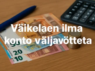 Väikelaen ilma konto väljavõtteta